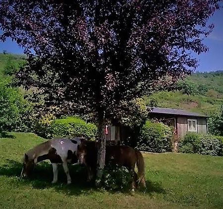 la Frégière Chalets Clairvaux-d'Aveyron Extérieur photo