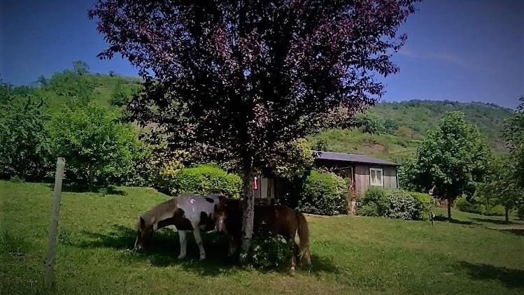 la Frégière Chalets Clairvaux-d'Aveyron Extérieur photo