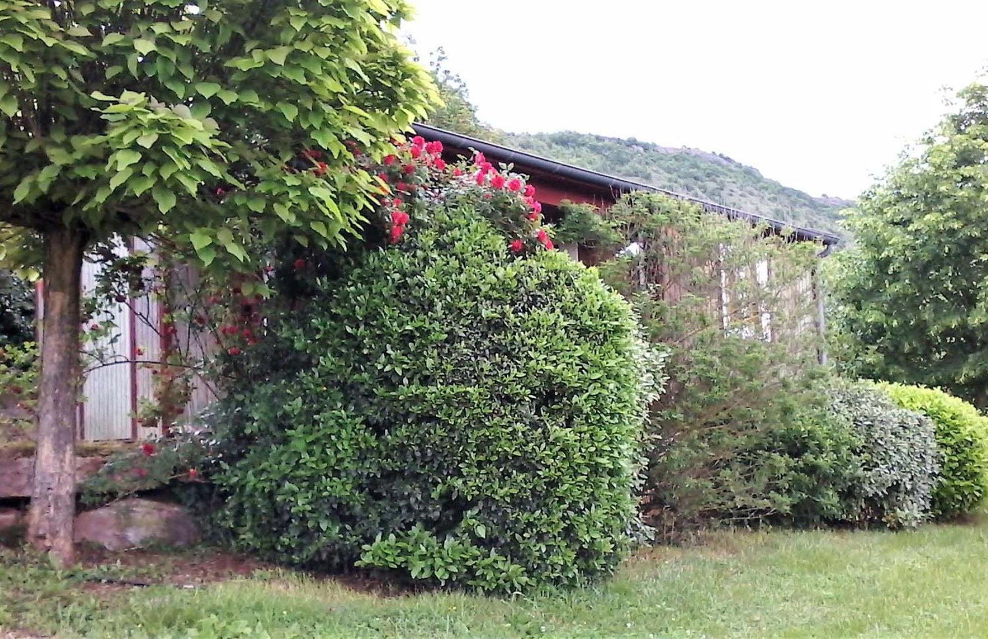 la Frégière Chalets Clairvaux-d'Aveyron Extérieur photo