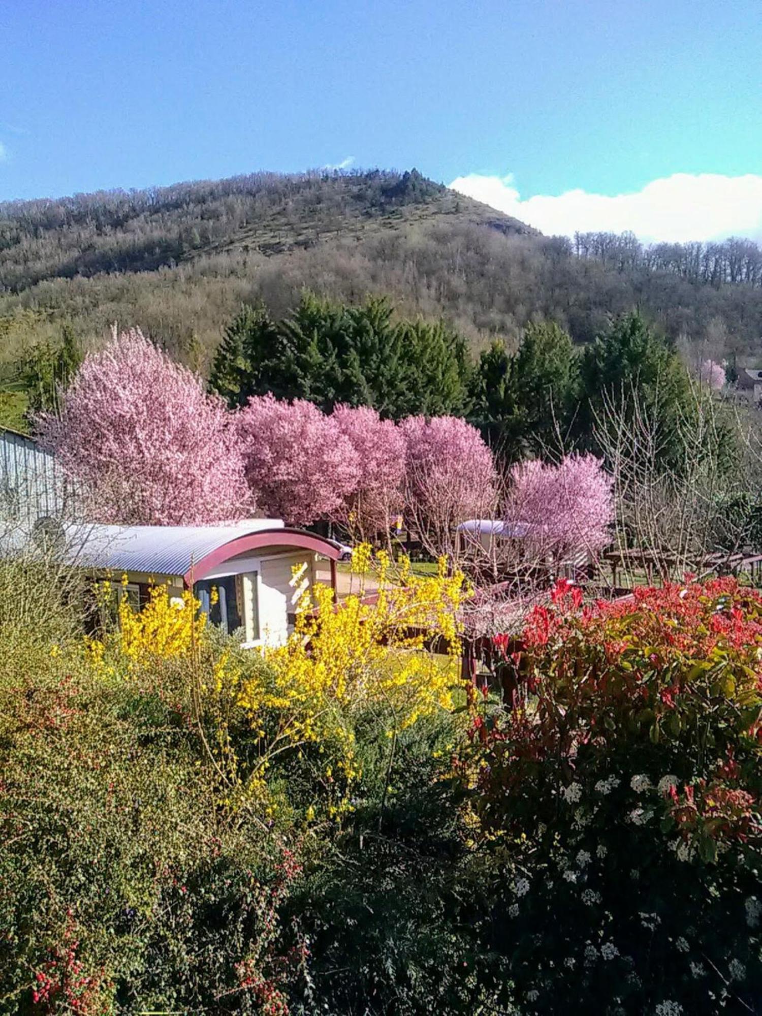 la Frégière Chalets Clairvaux-d'Aveyron Extérieur photo