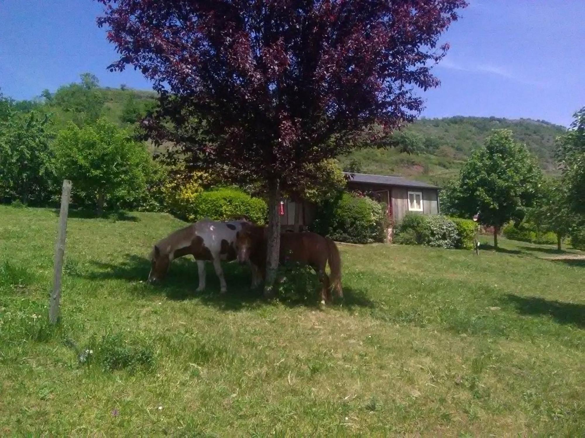 la Frégière Chalets Clairvaux-d'Aveyron Extérieur photo