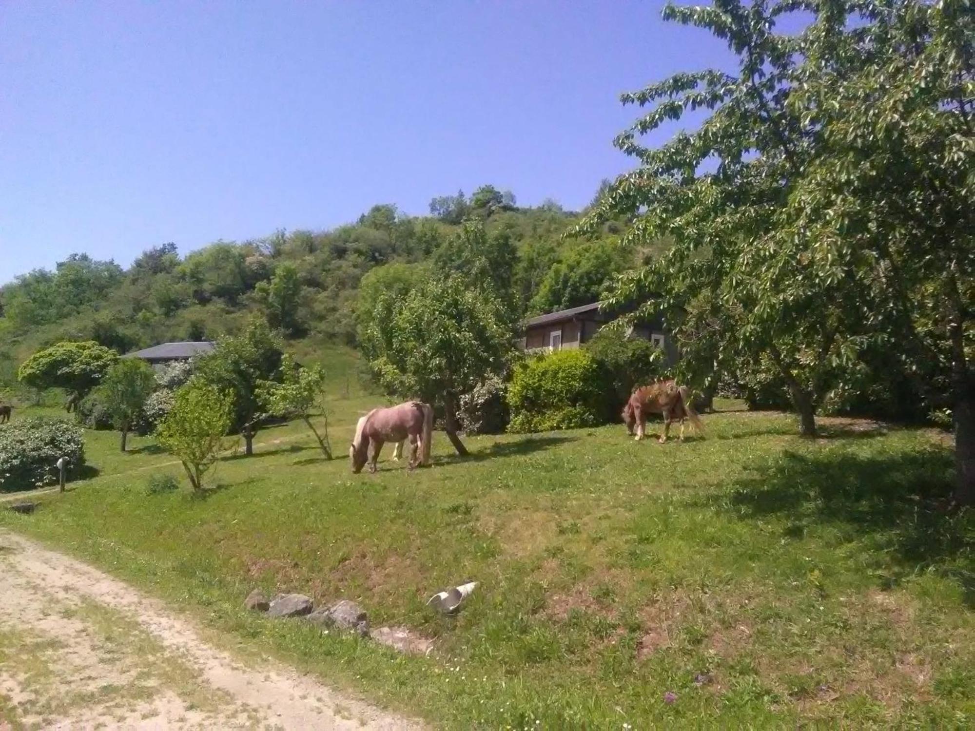 la Frégière Chalets Clairvaux-d'Aveyron Extérieur photo