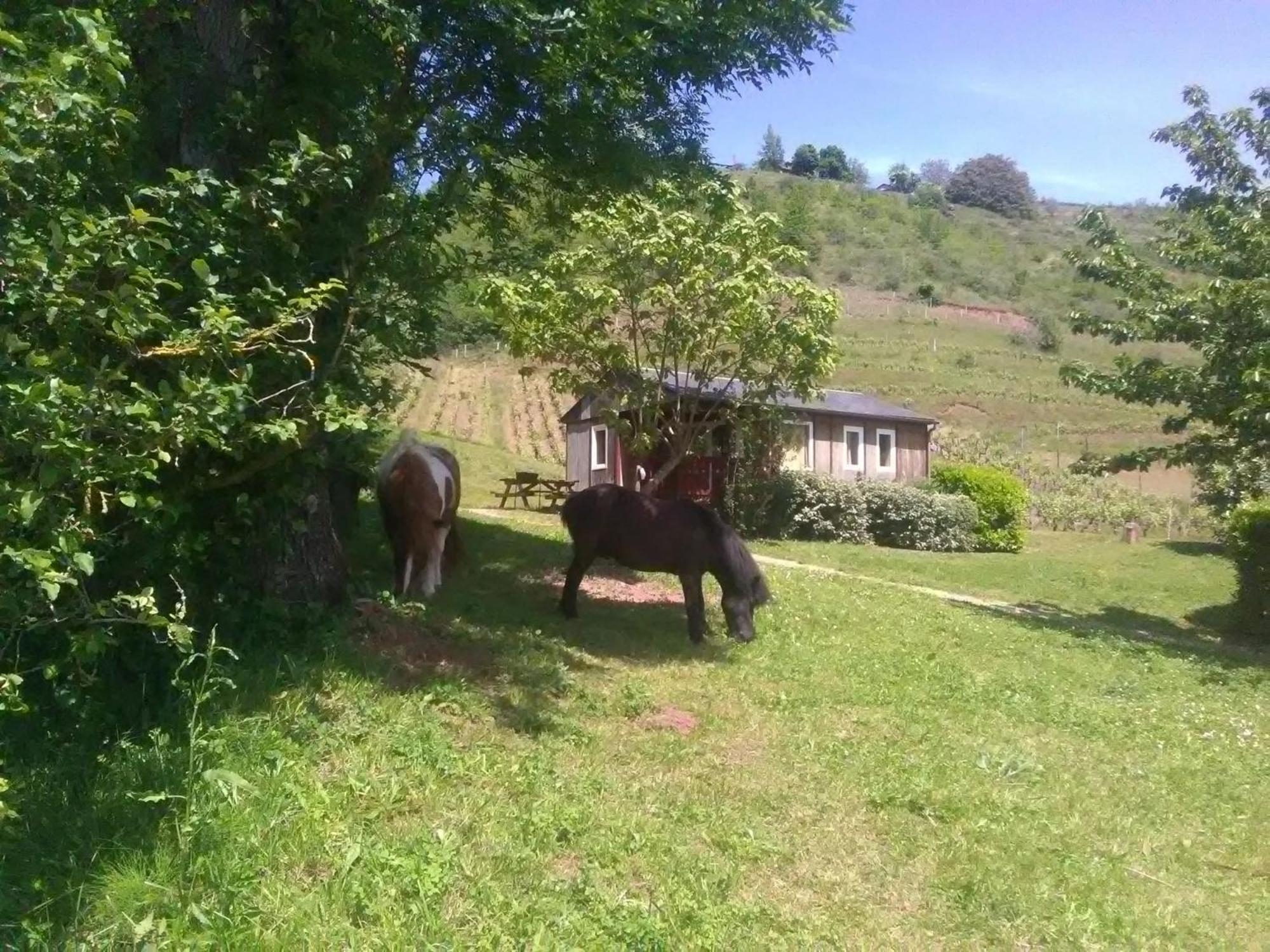 la Frégière Chalets Clairvaux-d'Aveyron Extérieur photo