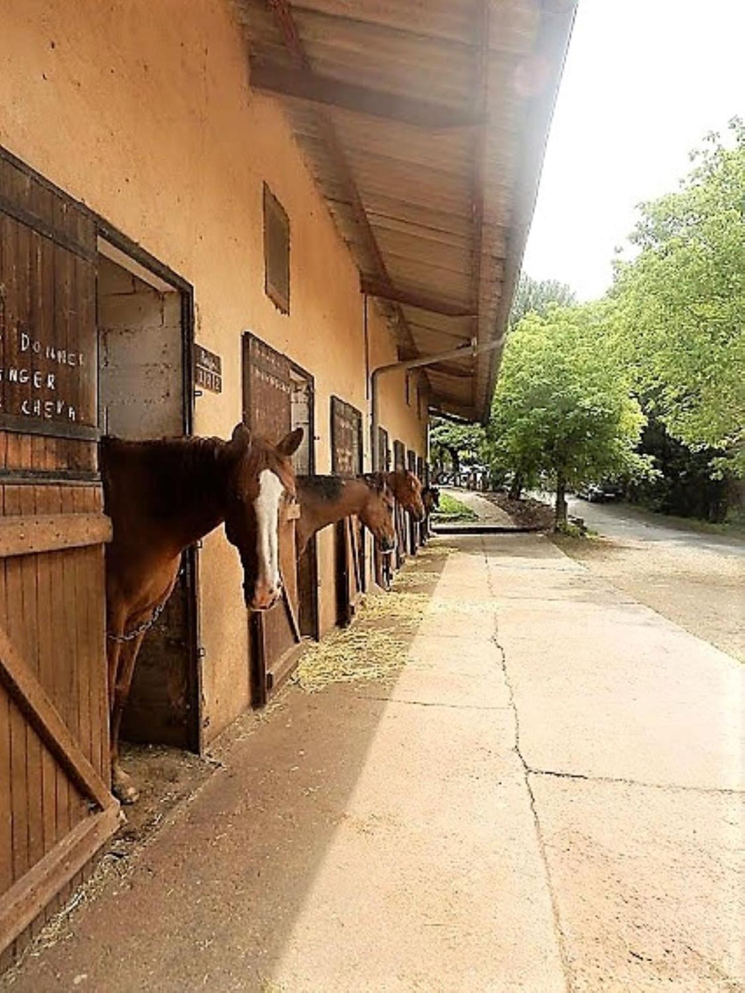 la Frégière Chalets Clairvaux-d'Aveyron Extérieur photo