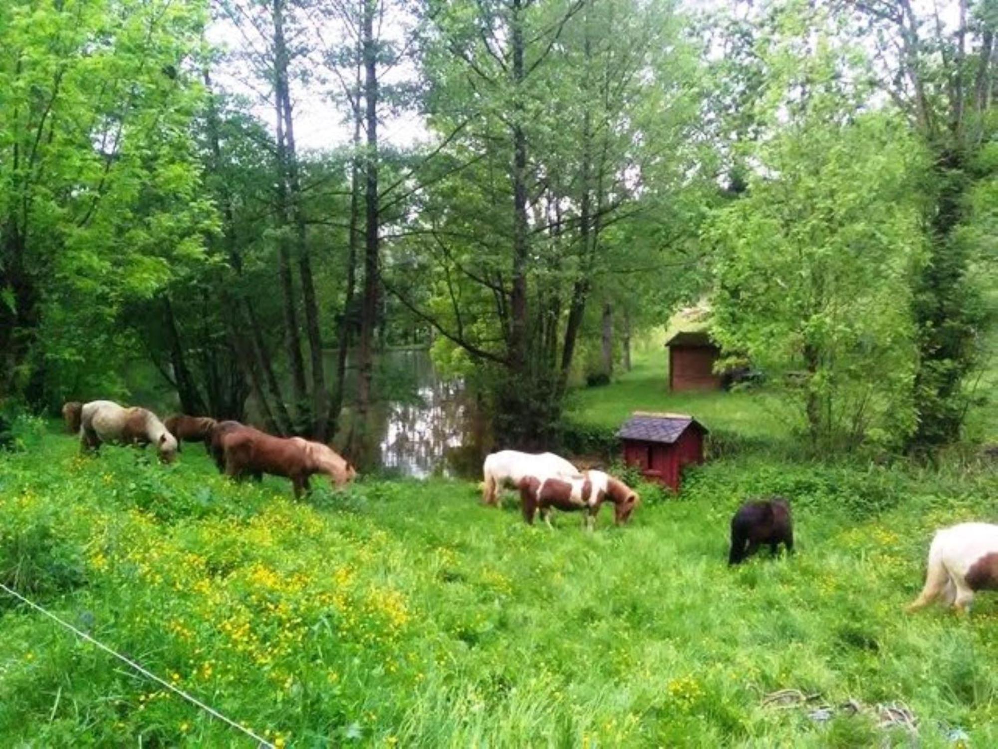 la Frégière Chalets Clairvaux-d'Aveyron Extérieur photo