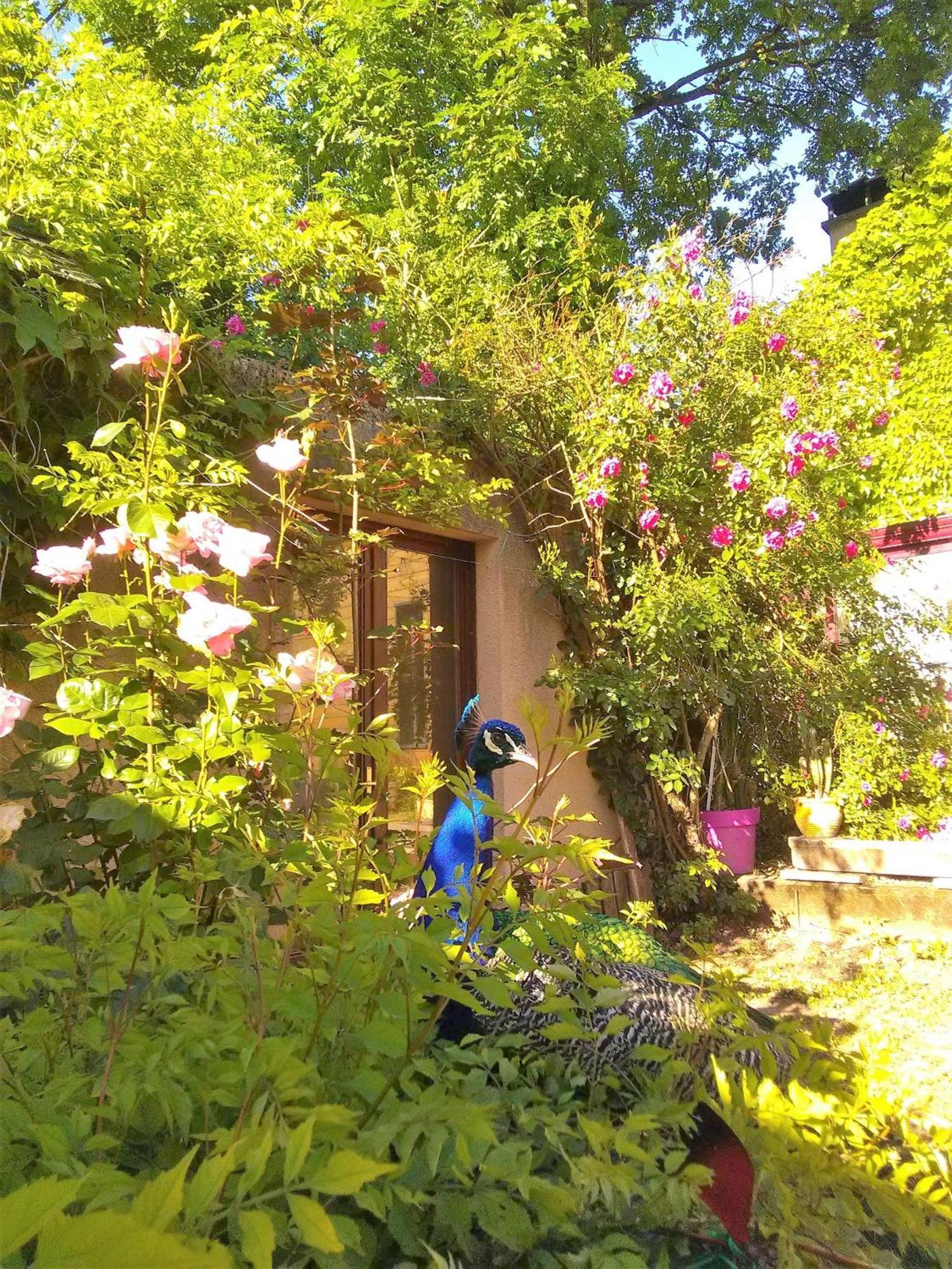 la Frégière Chalets Clairvaux-d'Aveyron Extérieur photo
