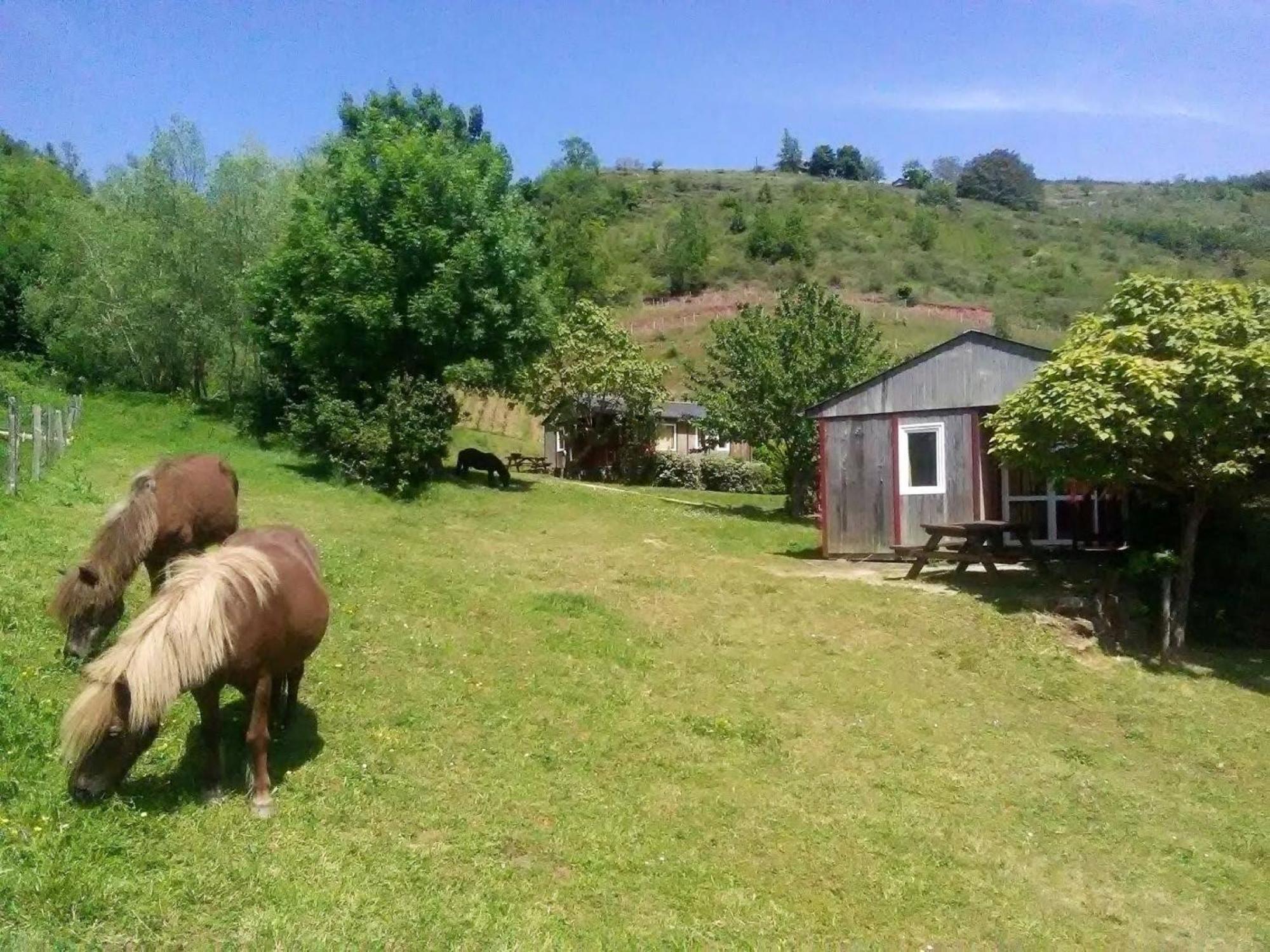 la Frégière Chalets Clairvaux-d'Aveyron Extérieur photo