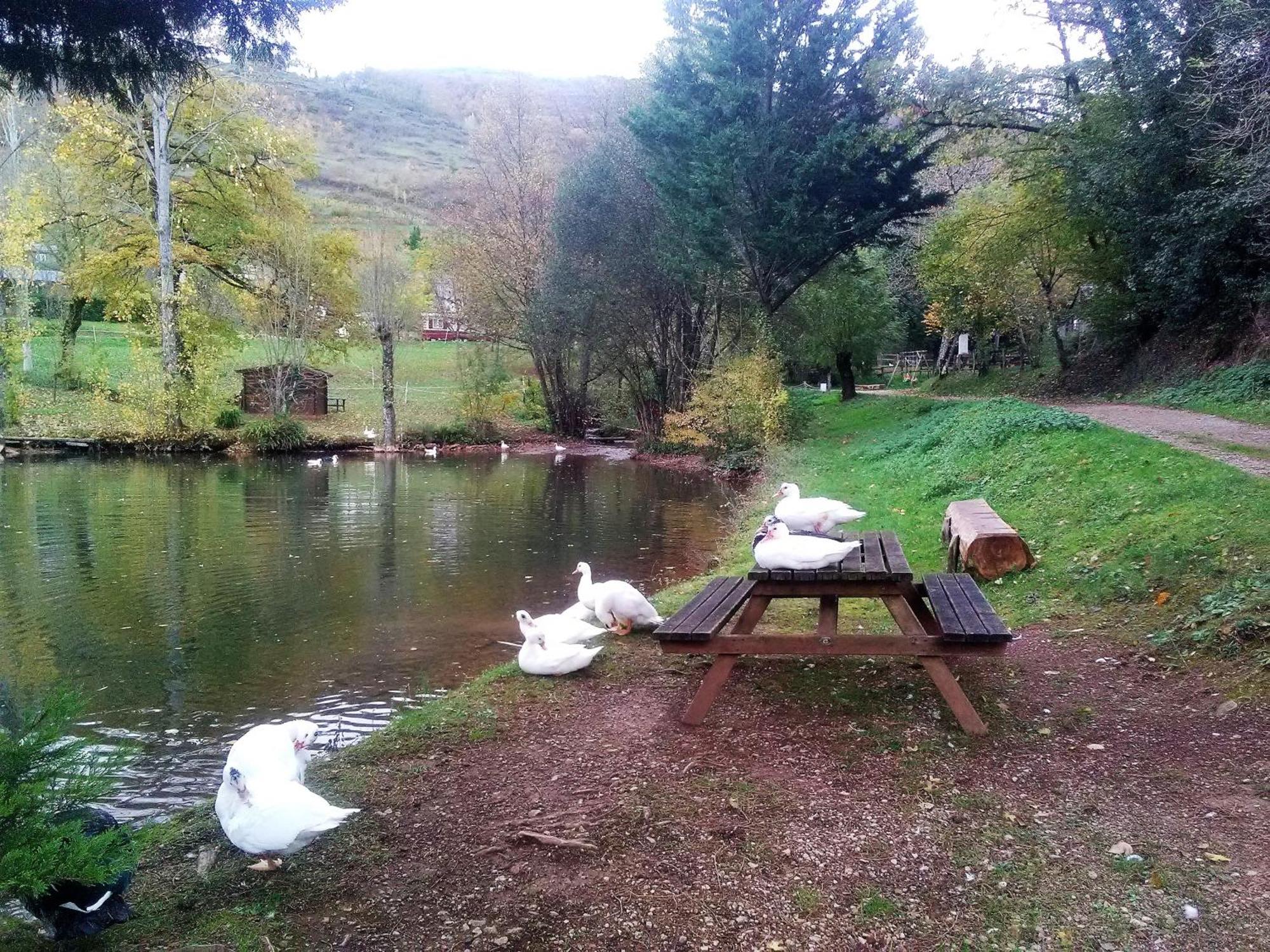 la Frégière Chalets Clairvaux-d'Aveyron Extérieur photo